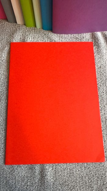 Ensemble de 1 chemise rigides rouge