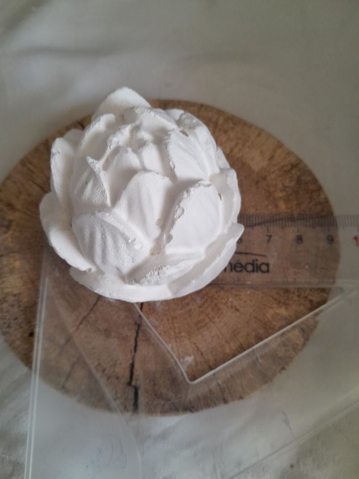 Nénuphars en plâtre à peindre - photo numéro 2