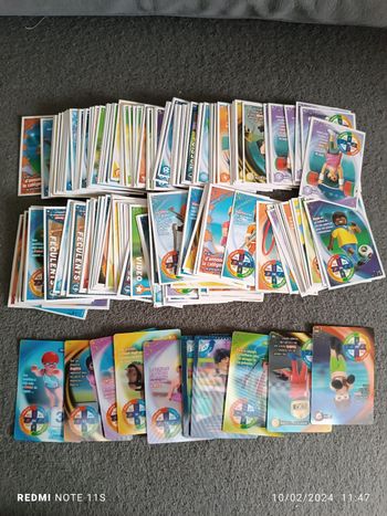 Cartes playmobil