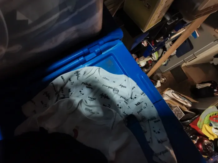 Lot bodies - photo numéro 2