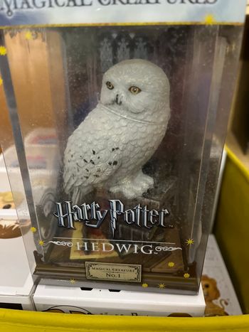 Harry Potter, Magical créature Hedwig