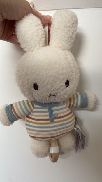 Lapin musical Little Dutch