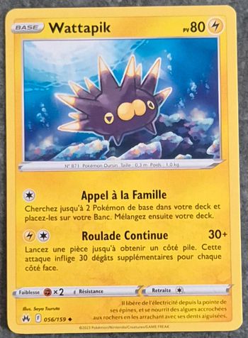 Wattapik Zénith Suprême