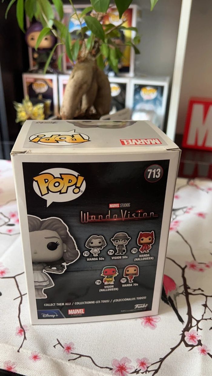 Pop Wanda vision - photo numéro 3