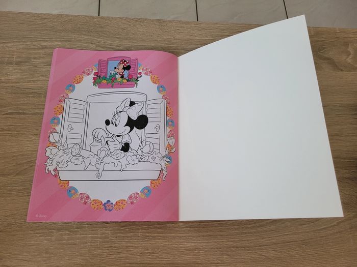 Livre de coloriages Disney - photo numéro 10