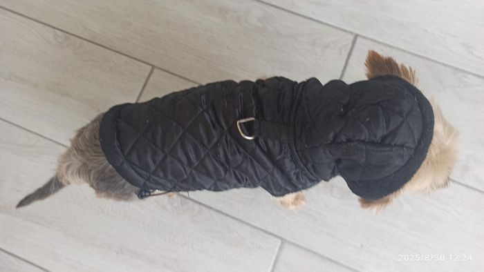 Doudoune imperméable avec capuche pour très petit chien - photo numéro 2