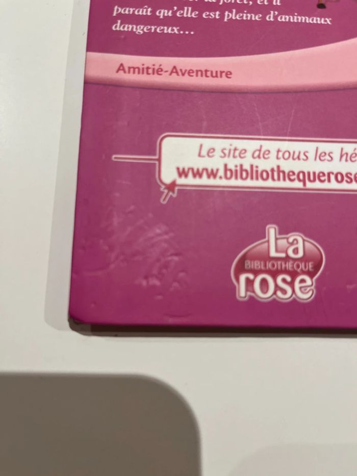 Princesse à cheval le nouvel ami d’aurore - photo numéro 3