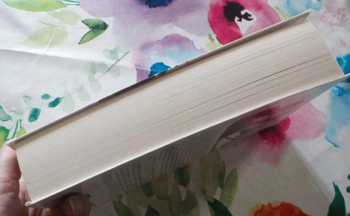 Le grand batre de Frédérique Hébrard Ed. Le Club - photo numéro 4