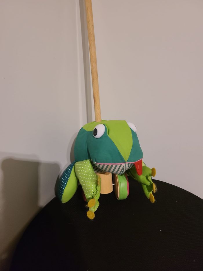 grenouille - photo numéro 2