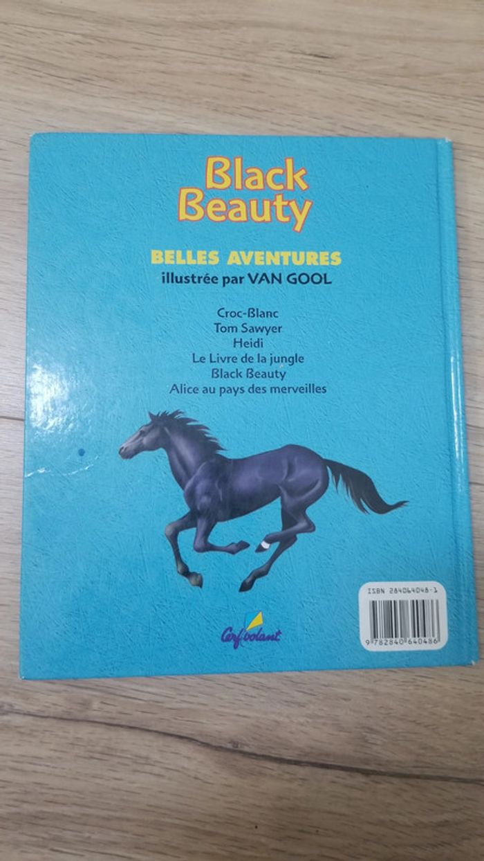 Livre Black Beauty - photo numéro 2