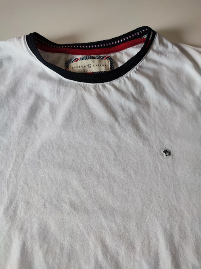 Lot de 8 t-shirts blancs hommes (Benson & Cherry, Adidas, Champion, Hollister, etc.) - photo numéro 3