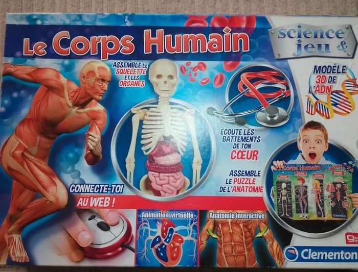 Jeux Le corps Humain De Science Est Jeux