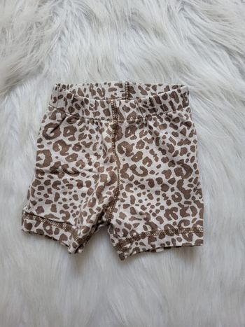 Short leopard