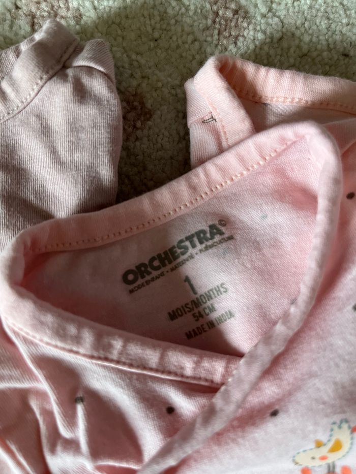 Lot de bodies en 1 mois. - photo numéro 3