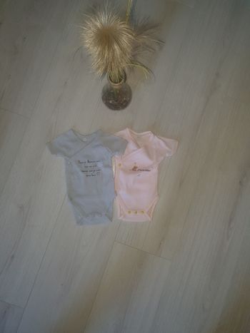 Lot de 4 bodys ete