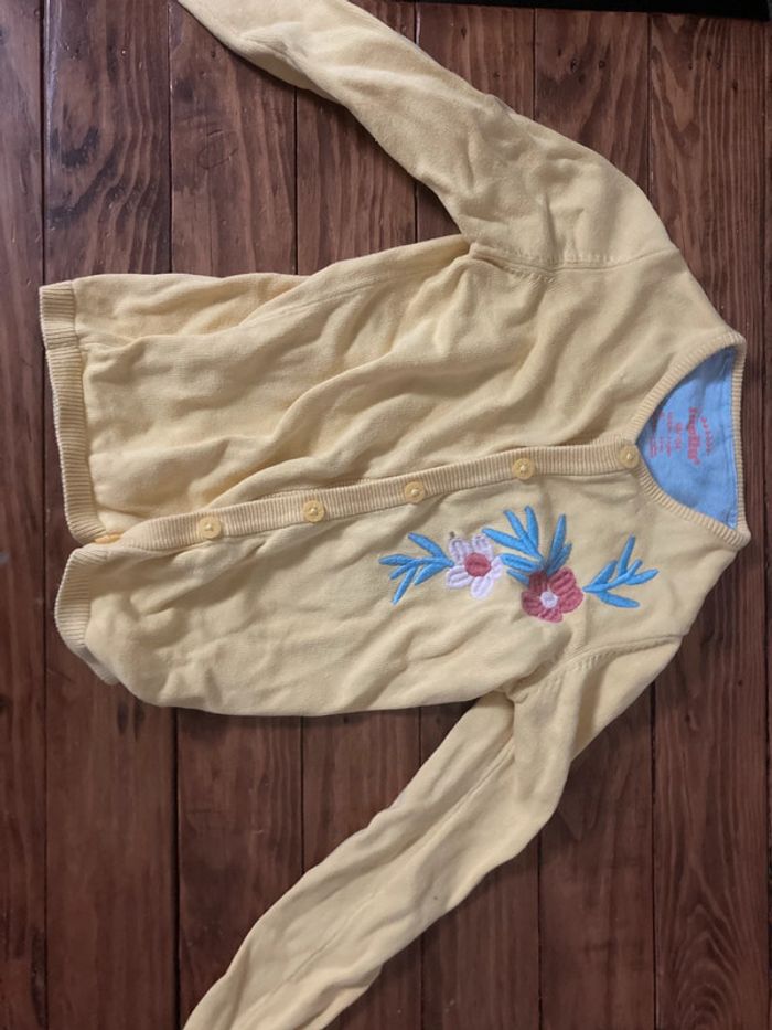 Veste lupilu