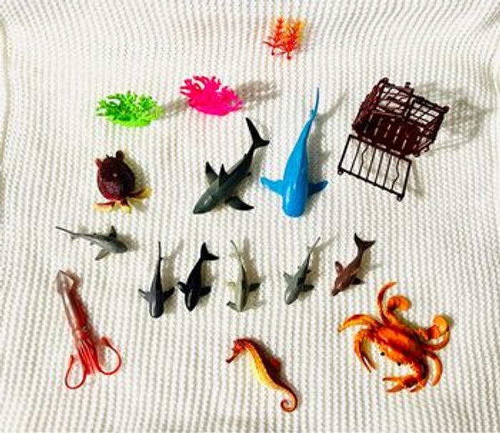 Crabe, requin, tortue, cage, hippocampe, algue, calamar. - photo numéro 2