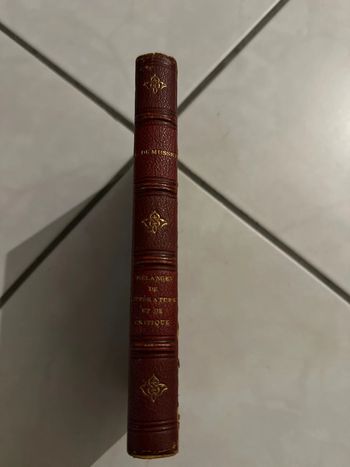 Mélange de littérature et de critique