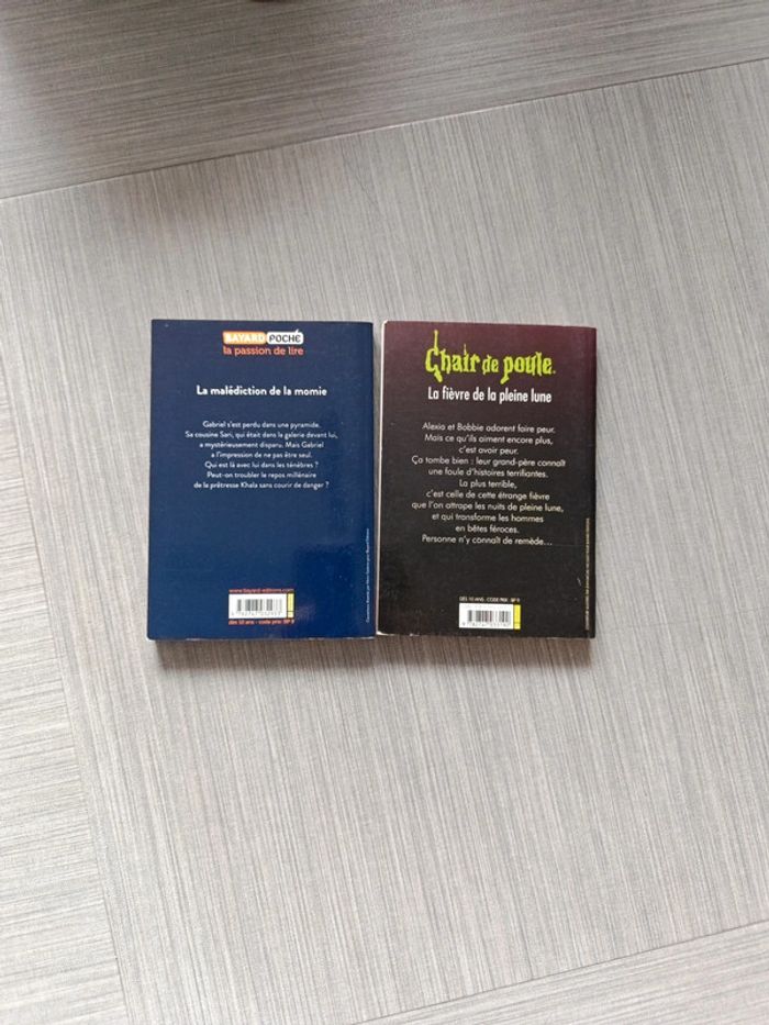 Livre Chair de poule - photo numéro 2