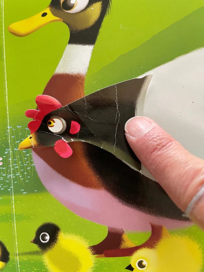 Le vilain petit canard - photo numéro 4