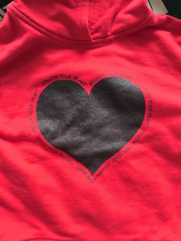 Sweat à capuche 4-5 ans - photo numéro 2