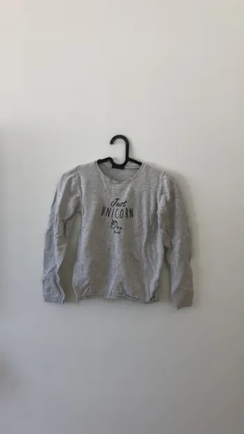 Pull gris