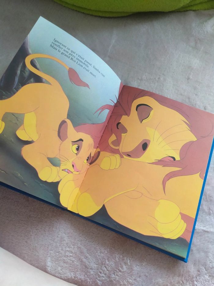 Livre Roi Lion - photo numéro 10