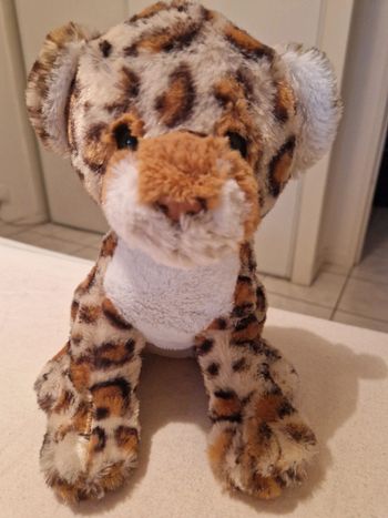 Peluche