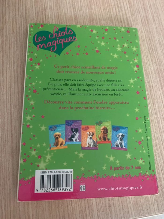 Livre les chiots magiques - photo numéro 2