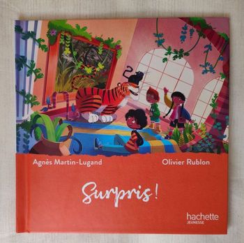 NEUF : Livre  " Surpris " collection Musée Magique Mc Donalds éditions Hachette Jeunesse  d'Agnès Martin-Lugand