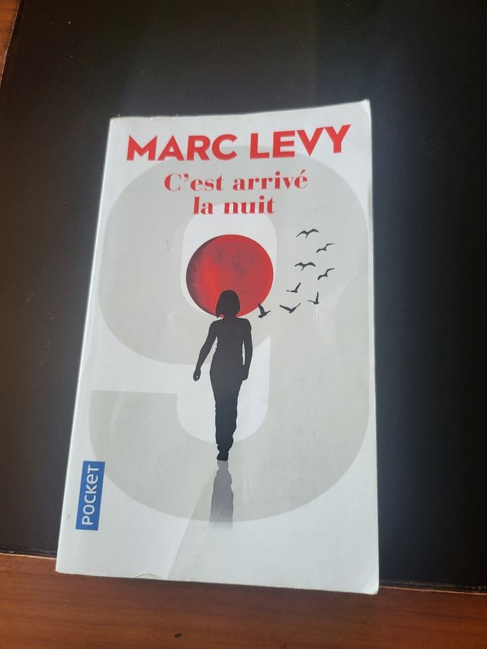 Livre 📖  c'est arrivé la nuit 🌃