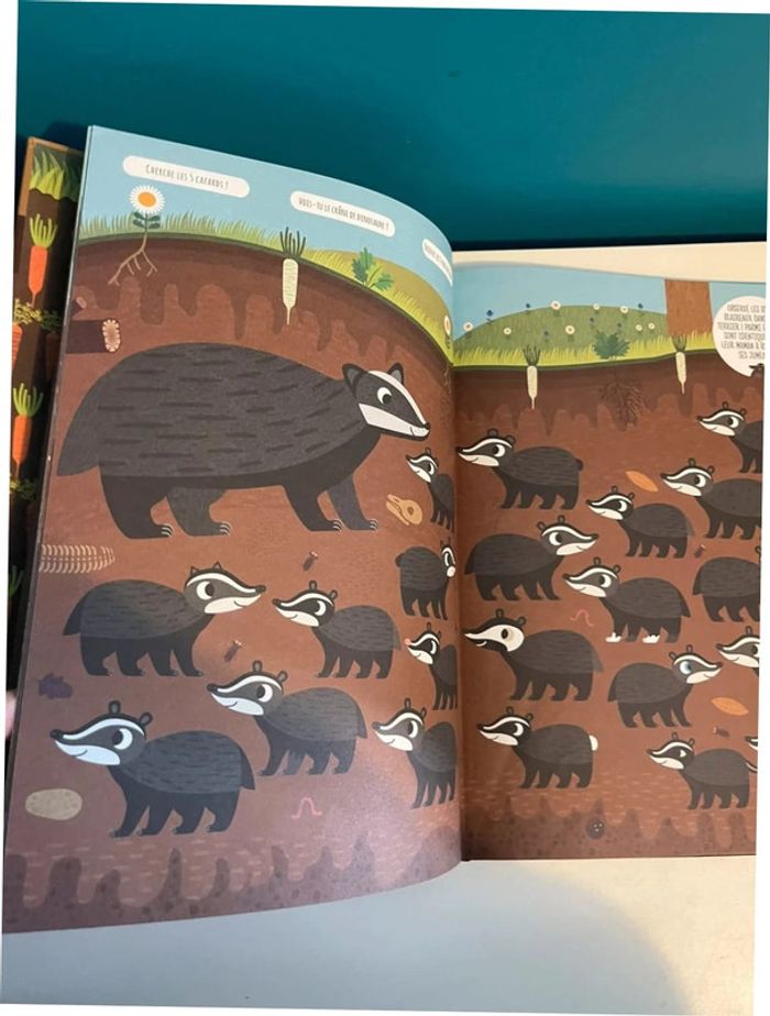 Livre cherche et trouve et d’observation Ralph le loup - photo numéro 4