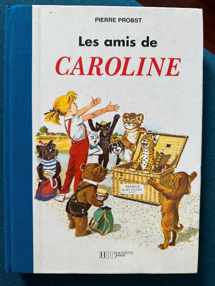 Grand album livre 156 pages Les Amis de Caroline Pierre Probst Hachette Jeunesse reliure bleu