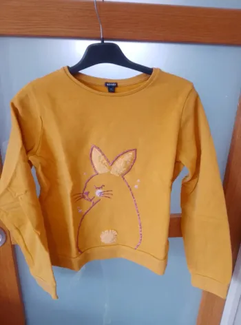 Pull Sweat Fille 12 ans