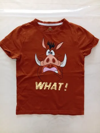 T Shirt garçon