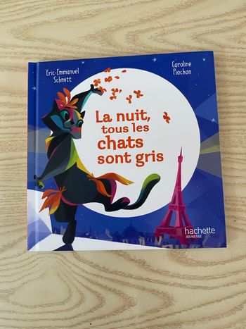 La nuit tous les chats sont gris 