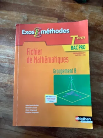 Livre, fichier de mathématiques, terminale, bac pro