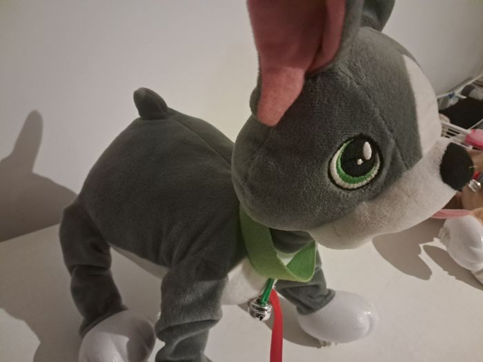 Chien - photo numéro 2