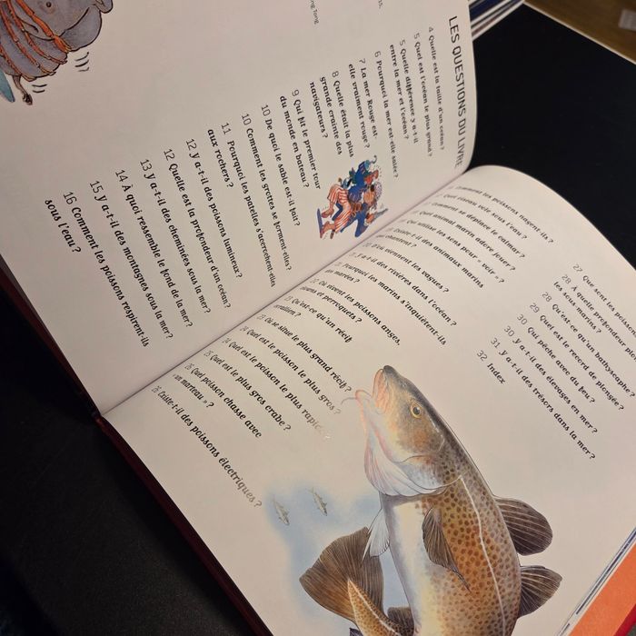 Livre enfant Nathan Questions Réponses - photo numéro 3