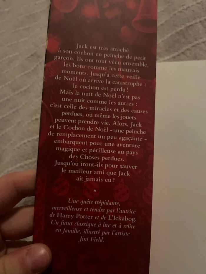 Jack et la grande aventure du cochon de Noël - photo numéro 3
