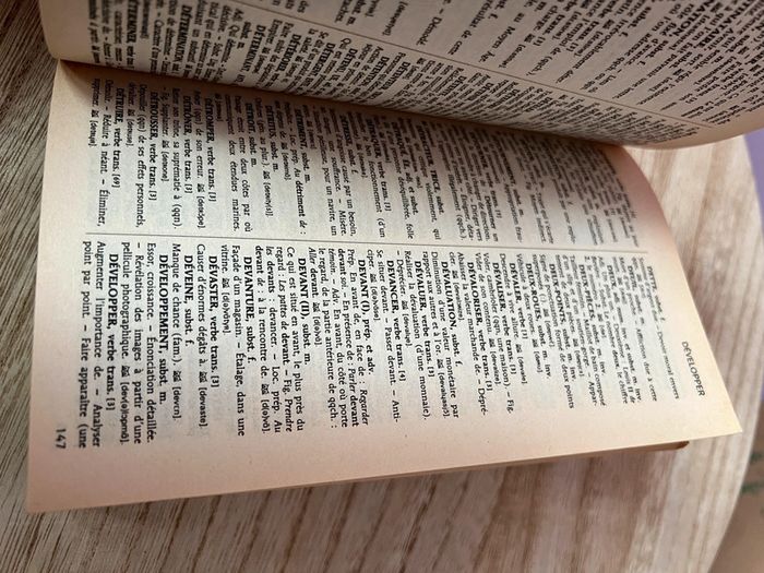 Dictionnaire de la langue Française - photo numéro 3