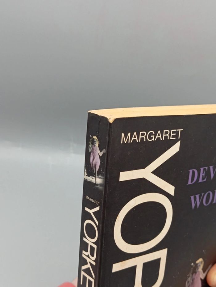 Devil's work - photo numéro 3