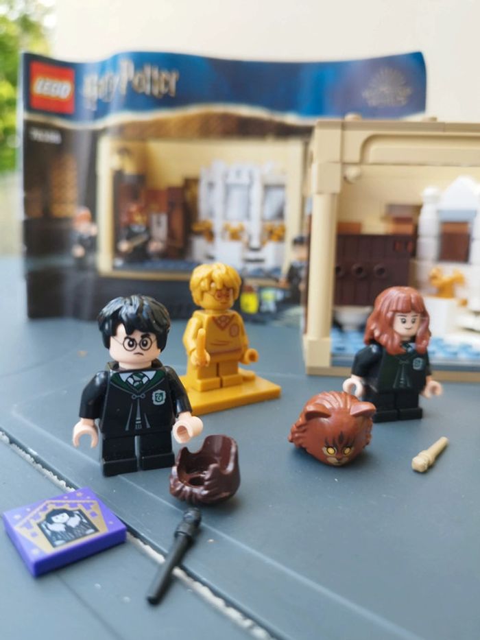 Lego Poudlard: l’erreur de la potion Polynectar - photo numéro 3
