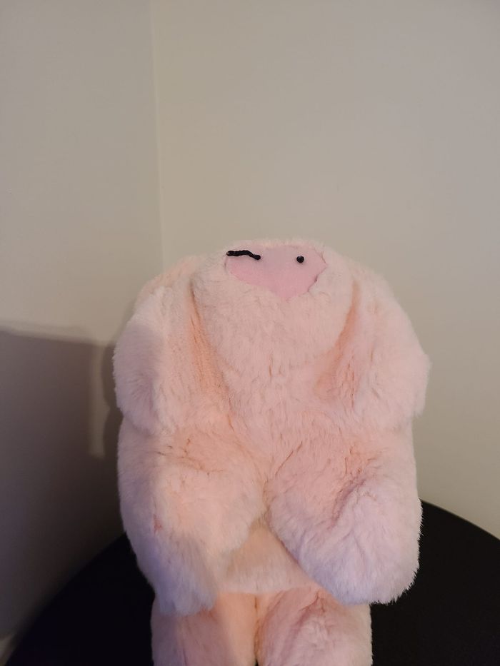 peluche cochon - photo numéro 3