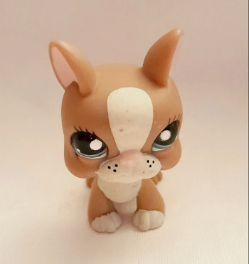 Figurine Littlest Pet Shop Chien Boston Terrier marron et blanc