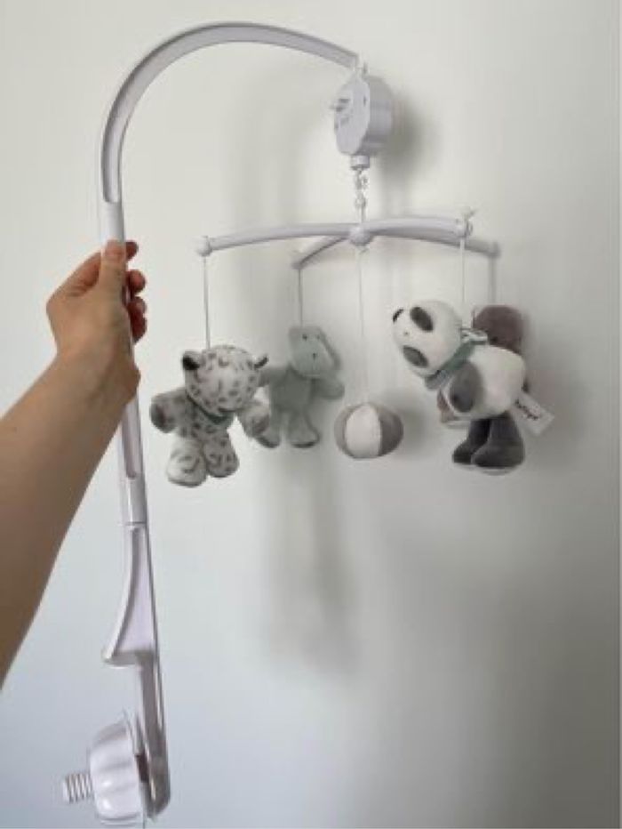 Nattou musique - photo numéro 2