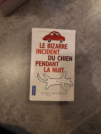 Livre : Le bizarre incident du chien pendant la nuit