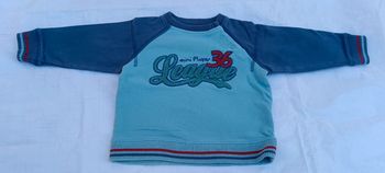 Pull 18 mois Tex basic