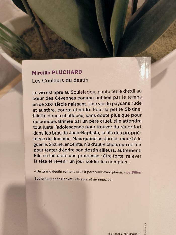 livre Les Couleurs Du Destin - Pluchard Mireille comme neuf - photo numéro 2