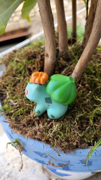 Super Figurine pokemon Nintendo Bulbizarre halloween effet brillant